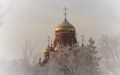 Обои Города - Православные церкви, монастыри, обои для рабочего стола,  фотографии города, - православные церкви, монастыри, зима, деревья, иней,  красота, золотые, купола, церковь Обои для рабочего стола, скачать обои  картинки заставки на картинки