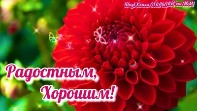 🌹Доброго Дня Отличного Настроения! Открытки Добрый День! - YouTube картинки