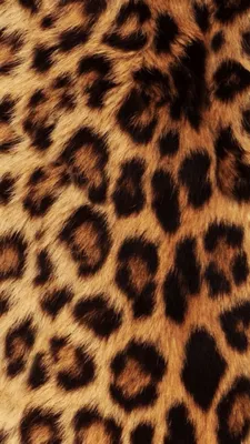 Леопард | Animal print wallpaper, Cheetah print wallpaper, Leopard print  background картинки