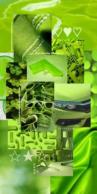 салатовый/зелёный обои эстетика | Aesthetic wallpapers, Wallpaper, Green картинки