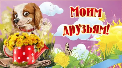 Моим друзьям я посвящаю! Красивые стихи для друзей! Видео открытка -  Скачать бесплатно на otkritkiok.ru картинки