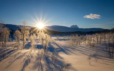 Картинка Зимнее морозное утро » Зима » Природа » Картинки 24 - скачать  картинки бесплатно картинки