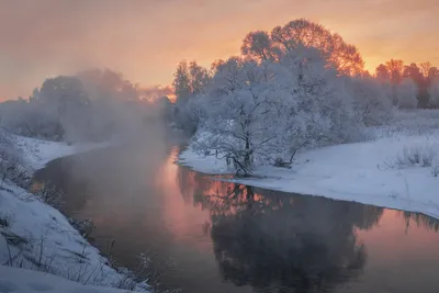 Морозное утро. Фотограф Елена Гусева картинки