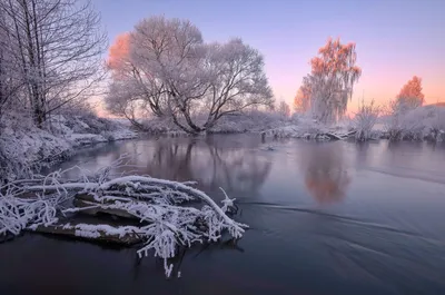 Морозное утро. Фотограф Александр Гвоздь картинки