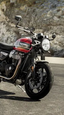 Обои Мотоциклы Triumph, 2019 Триумф Скорость Две, Триумф бонневиль,  мотоцикл, Прям-образный двигатель на телефон Android, 1080x1920 картинки и  фото бесплатно картинки