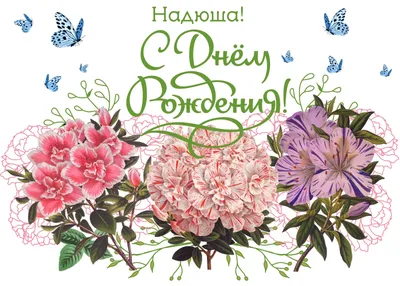 cherrylana designs: Надюша, С Днем Рождения, наш любимый администратор! картинки