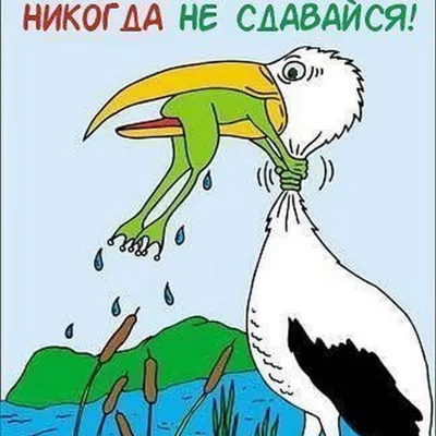 Никогда не сдавайся! (Нина Джос) / Проза.ру картинки