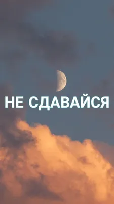 МОТИВАЦИОННЫЕ ОБОИ НА ТЕЛЕФОН НЕ СДАВАЙСЯ | Мотивирующие цитаты,  Мотивационные постеры, Мотивационные картинки картинки