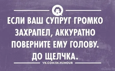 97 прикольных открыток для поднятия настроения картинки