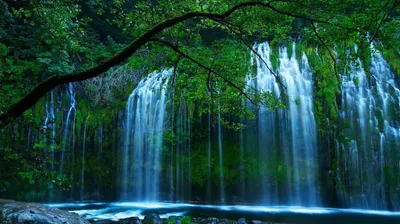 Живые обои природа - Green Waterfall картинки