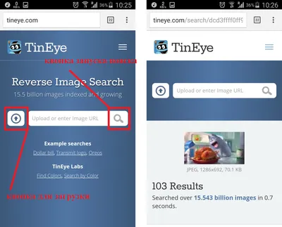 Как выполнить поиск по картинке с телефона – 5 простых способов картинки
