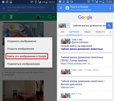 Как выполнить поиск по картинке с телефона – 5 простых способов картинки