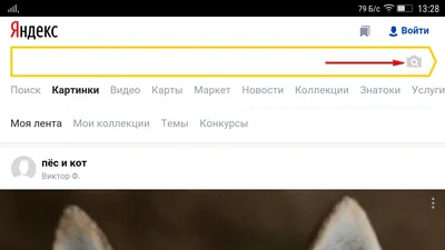 Поиск изображения с телефона картинки