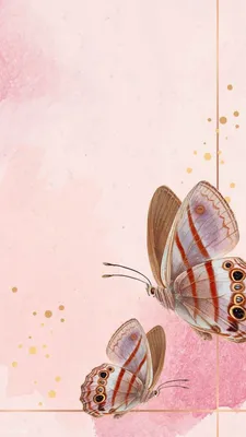 Фон, фотофон, бабочки, фон для сториз, | Butterfly wallpaper, Pink  butterfly, Butterfly background картинки