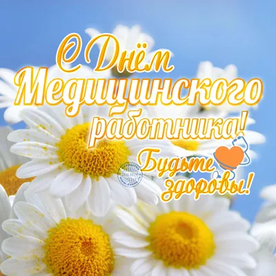 Красивая открытка с Днём медицинского работника врачу с ромашками -  Скачайте на Davno.ru картинки