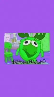 Обои мем «феноменально» | Мемы, Смешные мемы, Веселые мемы картинки