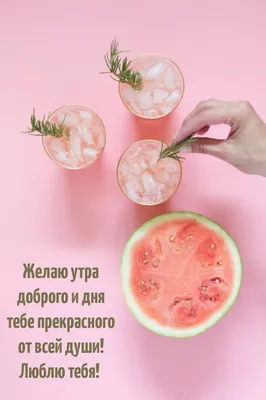 Картинки: \ картинки