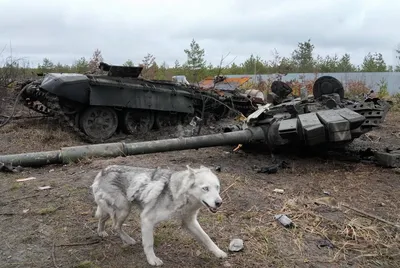 Буча. Пригороды Киева. Самые страшные кадры этой войны Российские войска  отступили из Киевской области. Вот что они оставили после себя — Meduza картинки