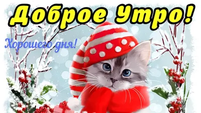 Видеооткрытка С Добрым Утром! Вторник 8 Февраля! Очень Красивая Открытка!  Самое Красивое Пожелание С Добрым Утром картинки