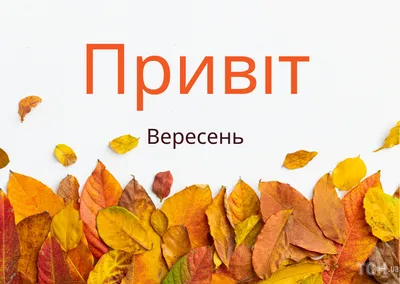 С первым днем осени 2022: поздравления в прозе и стихах, картинки на  украинском — Украина — tsn.ua картинки