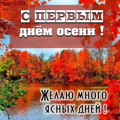 Открытки на первый день осени картинки