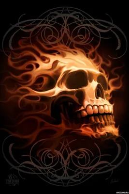 Skull art, Skull artwork, Skull wallpaper картинки