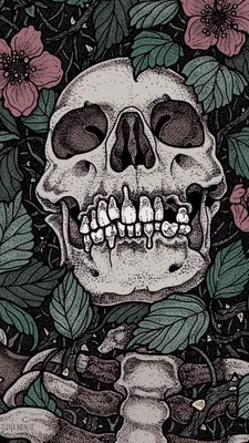 Pin by Karisha on череп | Skeleton art, Skull art, Skull wallpaper картинки