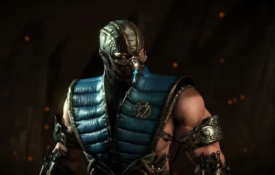 Обои Sub-Zero, саб зиро, Mortal Kombat X картинки на рабочий стол, раздел  игры - скачать картинки