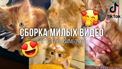 СБОРКА МИЛЫХ ДЕТСКИХ ВИДЕО ОТ СИМБОЧКИ :3 (TIKTOK) - YouTube картинки