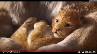 Король Лев / The Lion King (2019, фильм) - «Мой отзыв на нового \ картинки