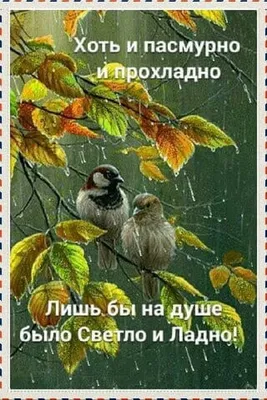 Идеи на тему «С добрым утром» (100) | доброе утро, открытки, утренние цитаты картинки