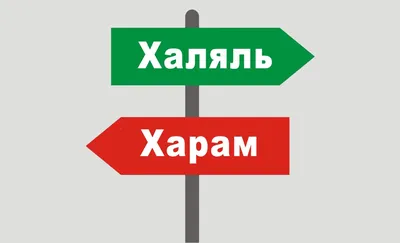 Сабур хазрат Хайрутдинов: «В Исламе ложь может быть дозволенной, если она  совершается с благими намерениями». ИА \ картинки