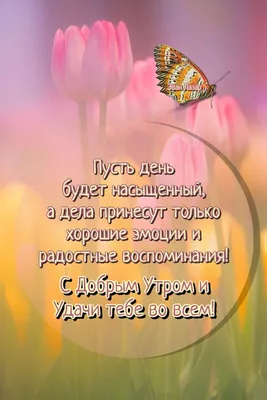 Доброе утро доброго дня красивые открытки картинки | Доброе утро, Картинки,  Цитаты для поднятия настроения картинки