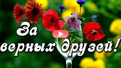 С Днем Дружбы! Поднимаю бокал за верных и надежных Друзей! Красивое  поздравление С Днем Дружбы - YouTube картинки