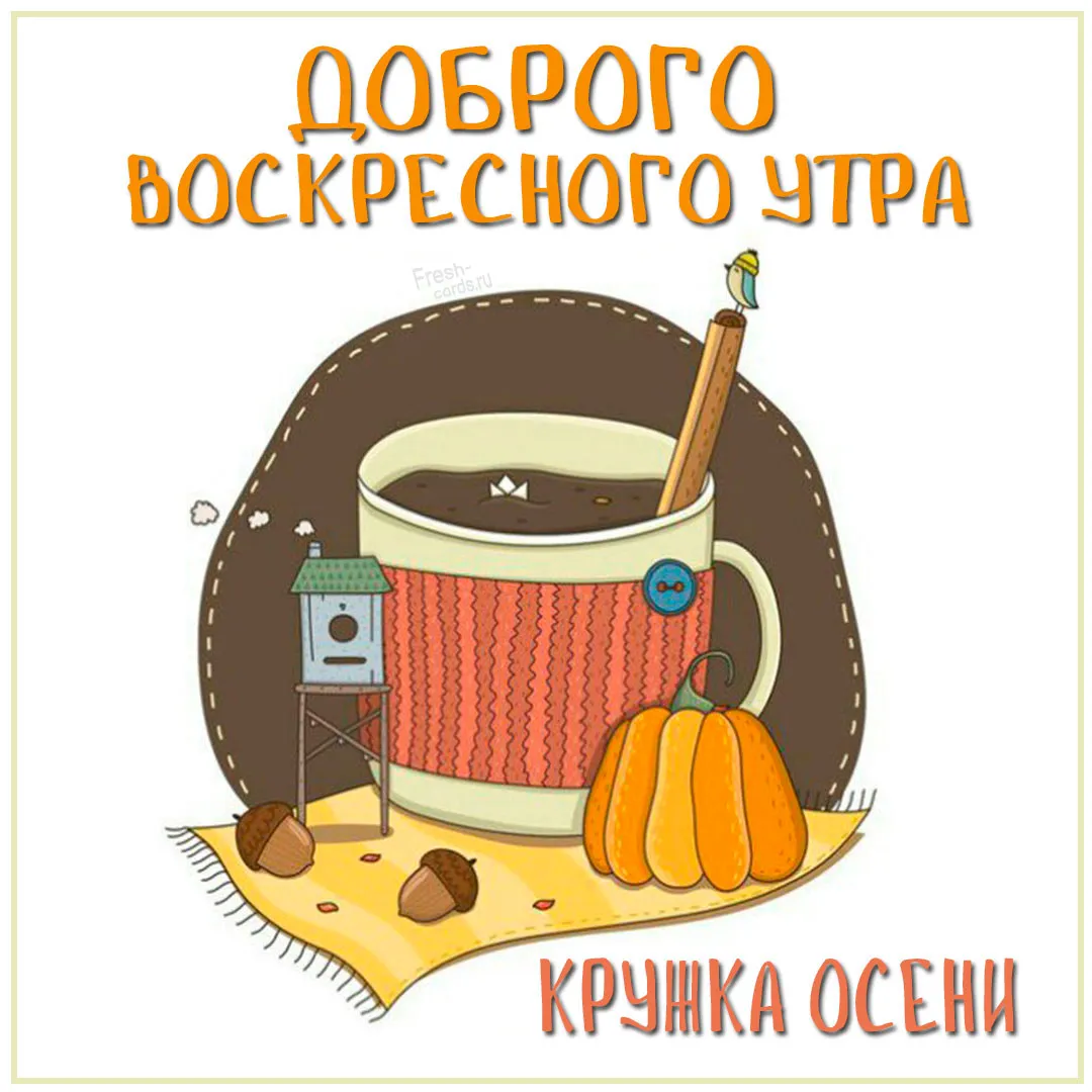 Утро воскресенья осень. Осеннее утро воскресенья прикольные. Доброе утро воскресенье осень. Доброе осеннее утро воскресенья картинки прикольные. Доброе утро воскресенье прикольные осень.