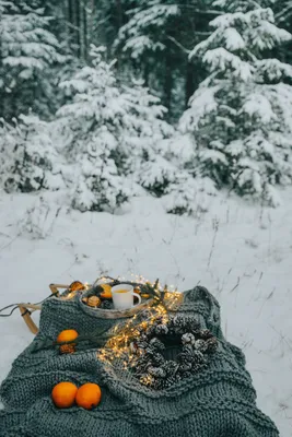 Обои вязание крючком, вязание, зима, дерево, снег - картинка на рабочий  стол и фото бесплатно картинки