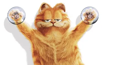 Обои 3д, гарфилд, 3d, garfield для рабочего стола #78488 картинки