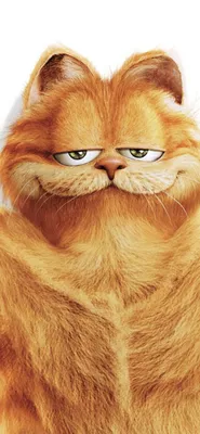 Картинка Garfield для телефона и на рабочий стол iPhone 11 картинки