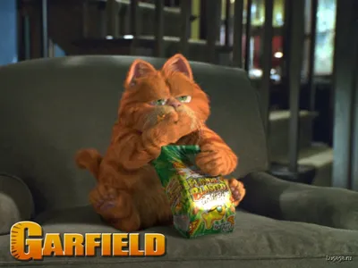 Обои Любителям Гарфильда (Garfield) картинки