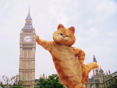 Скачать обои Гарфилд 2: История двух кошечек, Garfield: A Tail of Two  Kitties, фильм, кино бесплатно для рабочего стола в разрешении 1600x1200 —  картинка №9395 картинки