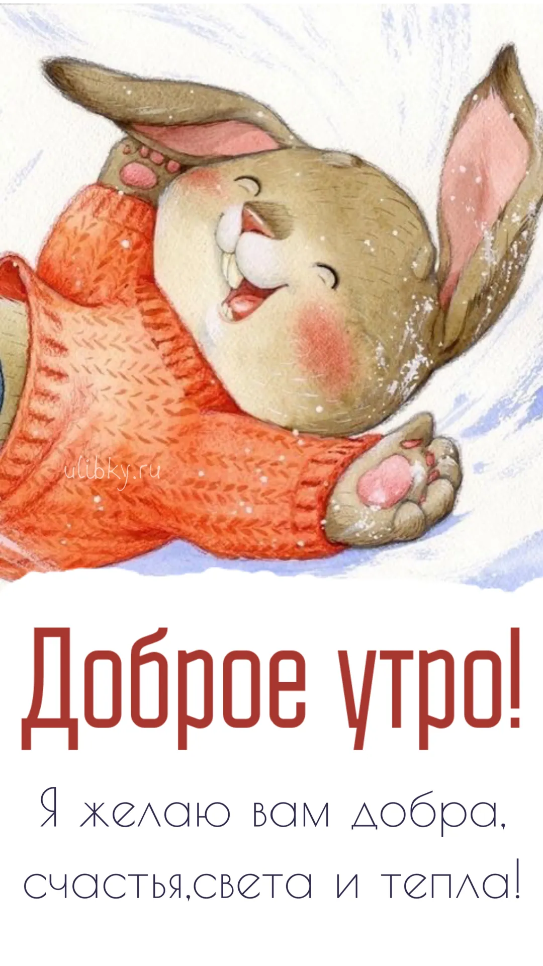 Морозное доброе утро картинки