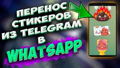 Где взять стикеры для WhatsApp: как найти на Андроиде и Айфоне картинки