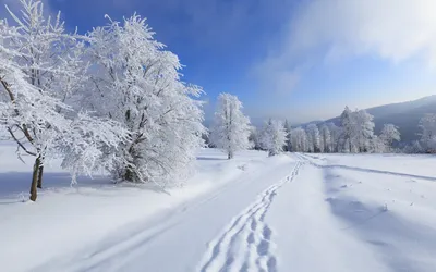 Зимний пейзаж скачать фото обои для рабочего стола (картинка 4 из 4) картинки