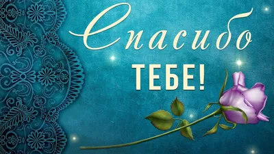 💖 Спасибо тебе за то, что ты есть у меня!💖 Анимационная открытка  #WhatsApp #Длятебя #спасибо - YouTube картинки