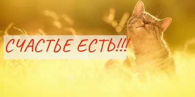 СЧАСТЬЕ ЕСТЬ! Философия. Мудрость. Книги. | Счастье, Психология, Мотивация картинки