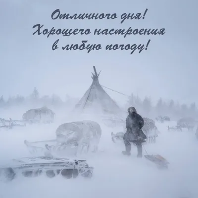 Картинки с надписями. Отличного дня! Хорошего настроения в любую погоду!. картинки