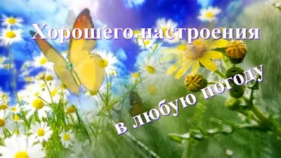 Хорошего настроения в любую погоду! 🌼🌼🌼 Доброго дня! - YouTube картинки