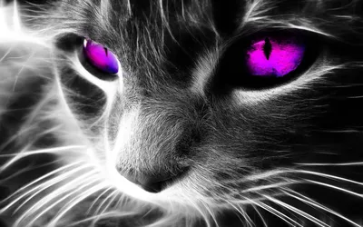 Прикольные заставки на телефон скачать | Green eyed cat, Cat wallpaper,  Eyes wallpaper картинки