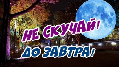 До завтра! Не скучай! Волшебных снов! - YouTube картинки