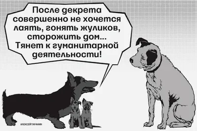 Почему каждая вторая сотрудница увольняется сразу после выхода из декрета -  Ведомости картинки